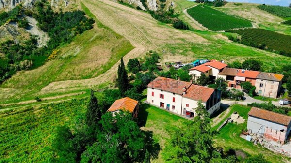 esavano in vendita a Riolo Terme