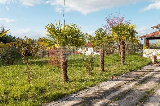 casa indipendente in vendita a Riolo Terme