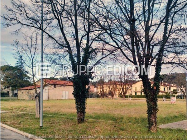 terreno agricolo in vendita a Riolo Terme