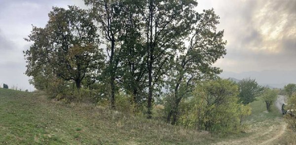 terreno agricolo in vendita a Riolo Terme in zona Borgo Rivola
