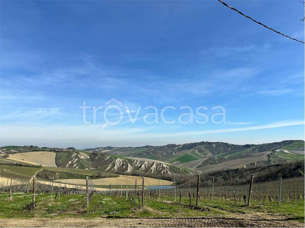 azienda agricola in vendita a Riolo Terme