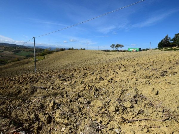 terreno agricolo in vendita a Riolo Terme