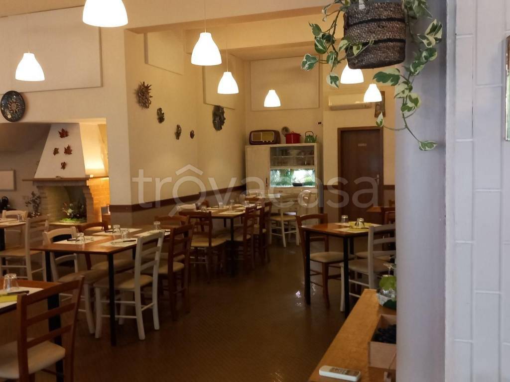 negozio in vendita a Riolo Terme