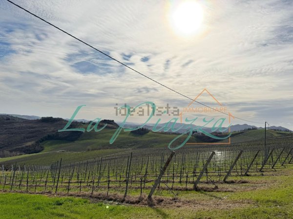 terreno agricolo in vendita a Riolo Terme