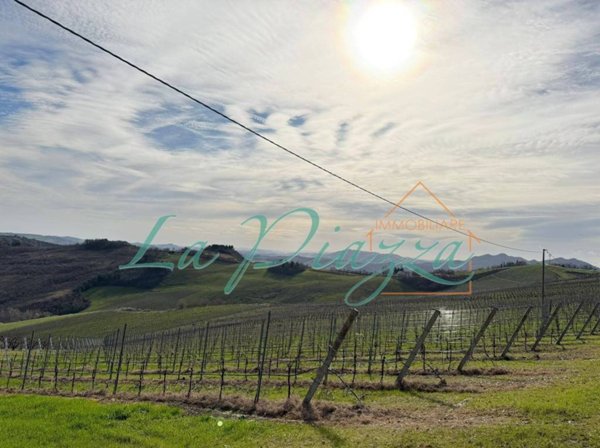 terreno agricolo in vendita a Riolo Terme