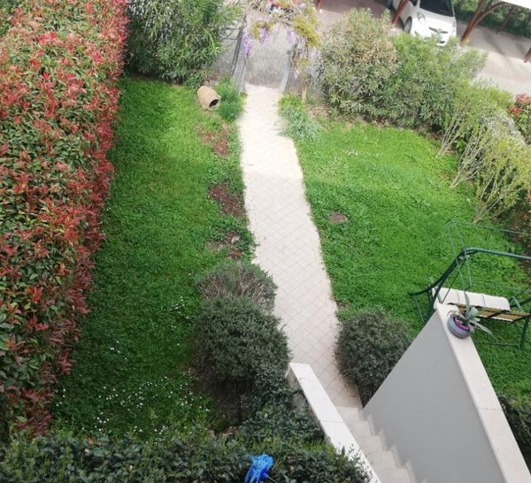 casa indipendente in vendita a Russi