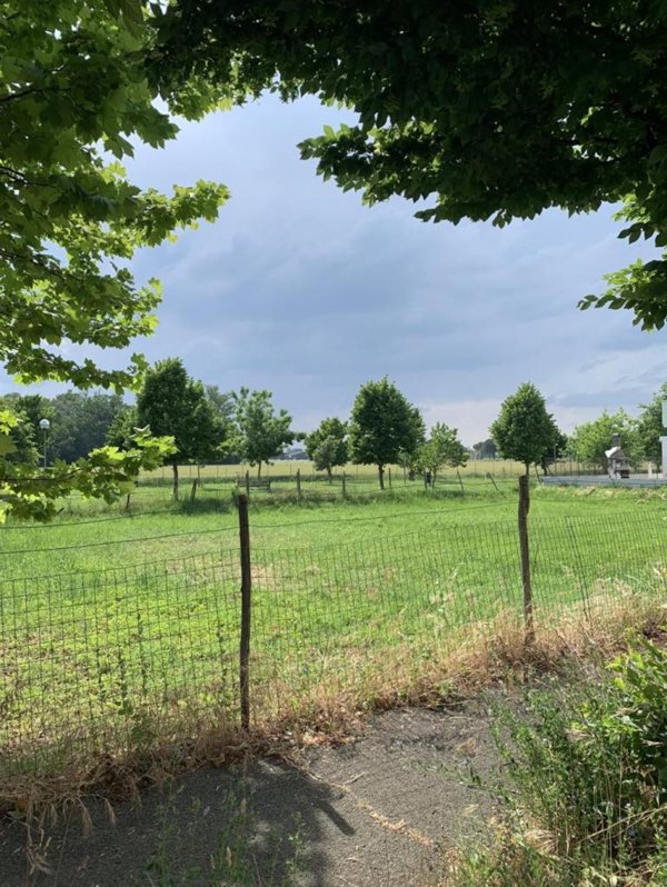 appartamento in vendita a Russi