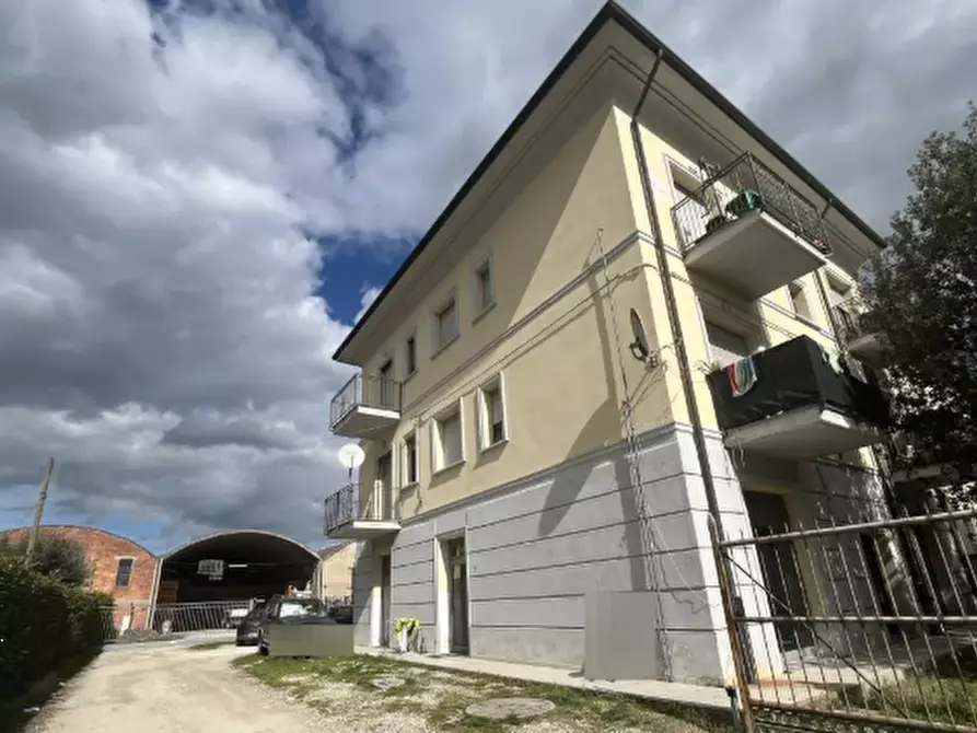 negozio in vendita a Russi