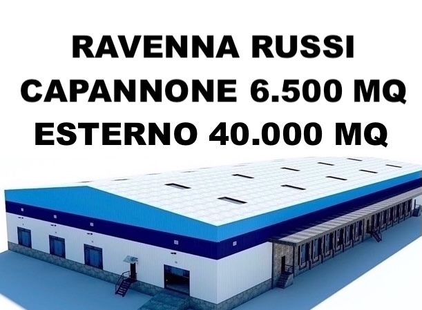 negozio in vendita a Russi