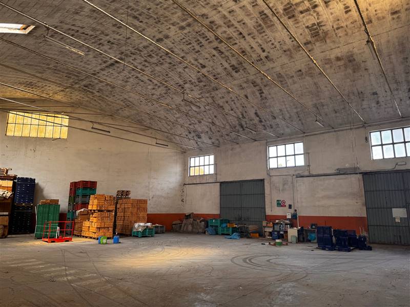 capannone in vendita a Russi