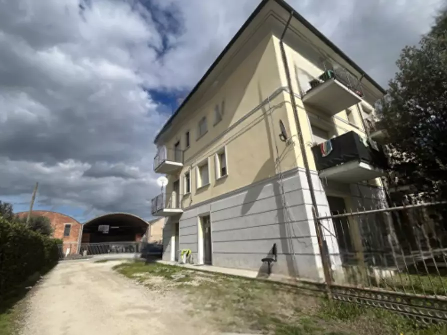 negozio in vendita a Russi