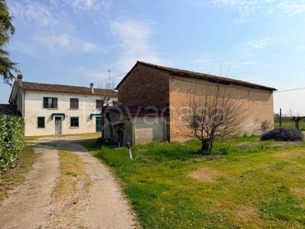 azienda agricola in vendita a Russi