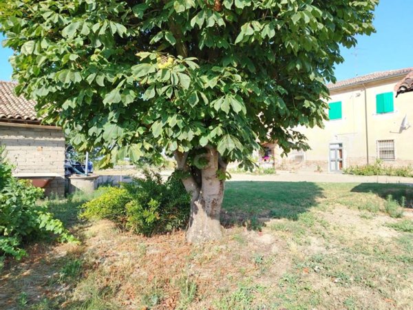casa indipendente in vendita a Sant'Agata sul Santerno