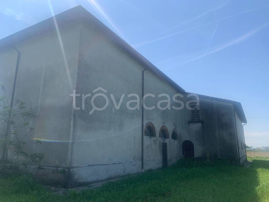 appartamento in vendita a Sant'Agata sul Santerno