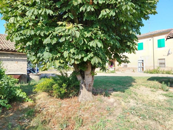 casa indipendente in vendita a Sant'Agata sul Santerno