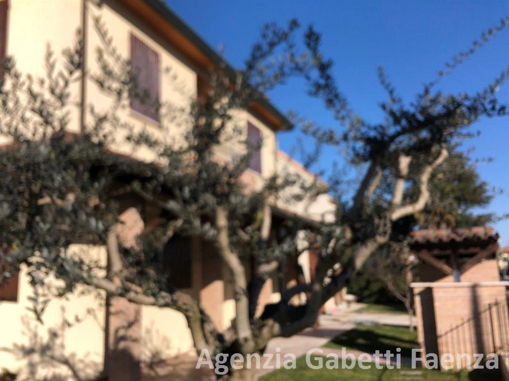 casa indipendente in vendita a Solarolo