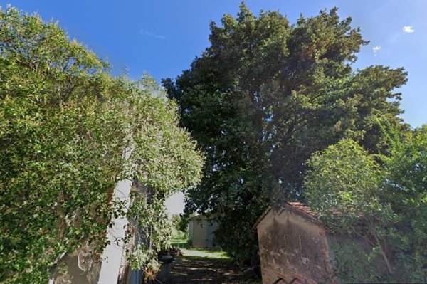 casa indipendente in vendita a Solarolo