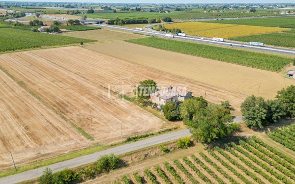 terreno agricolo in vendita a Solarolo