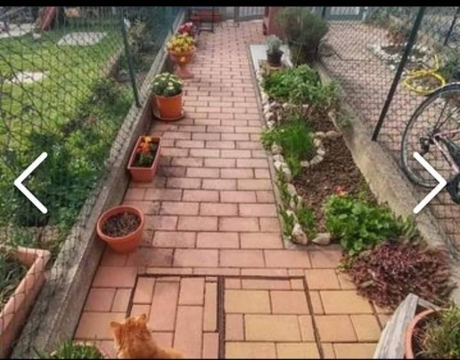 appartamento in vendita a Solarolo