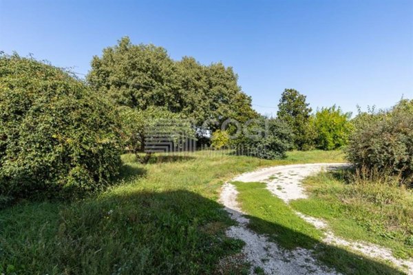 casale in vendita a Solarolo