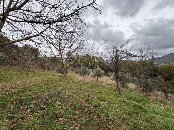 appartamento in vendita a Bagno di Romagna in zona Vessa