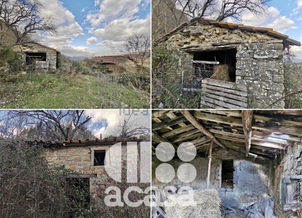 esavano in vendita a Bagno di Romagna