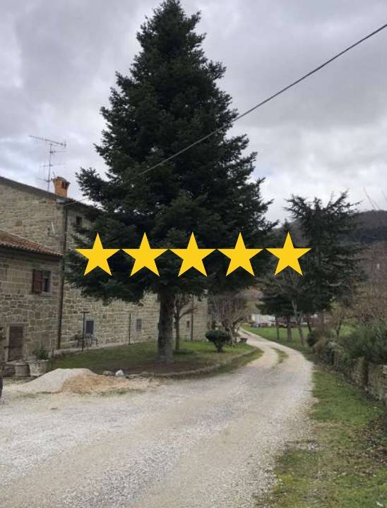 appartamento in vendita a Bagno di Romagna