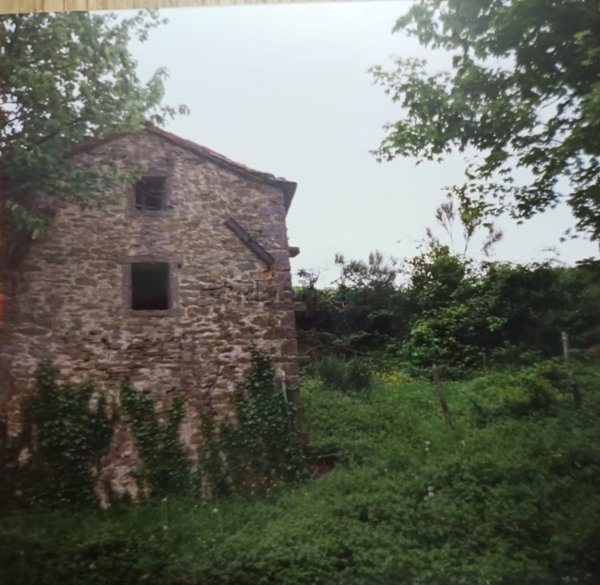 esavano in vendita a Bagno di Romagna in zona San Silvestro