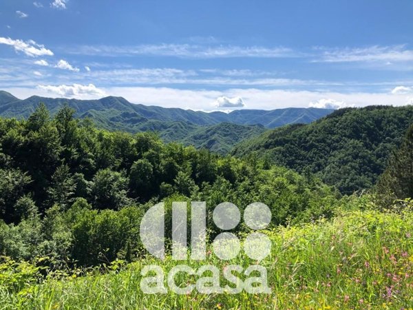 terreno agricolo in vendita a Bagno di Romagna