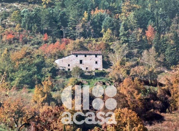 casa indipendente in vendita a Bagno di Romagna in zona Acquapartita