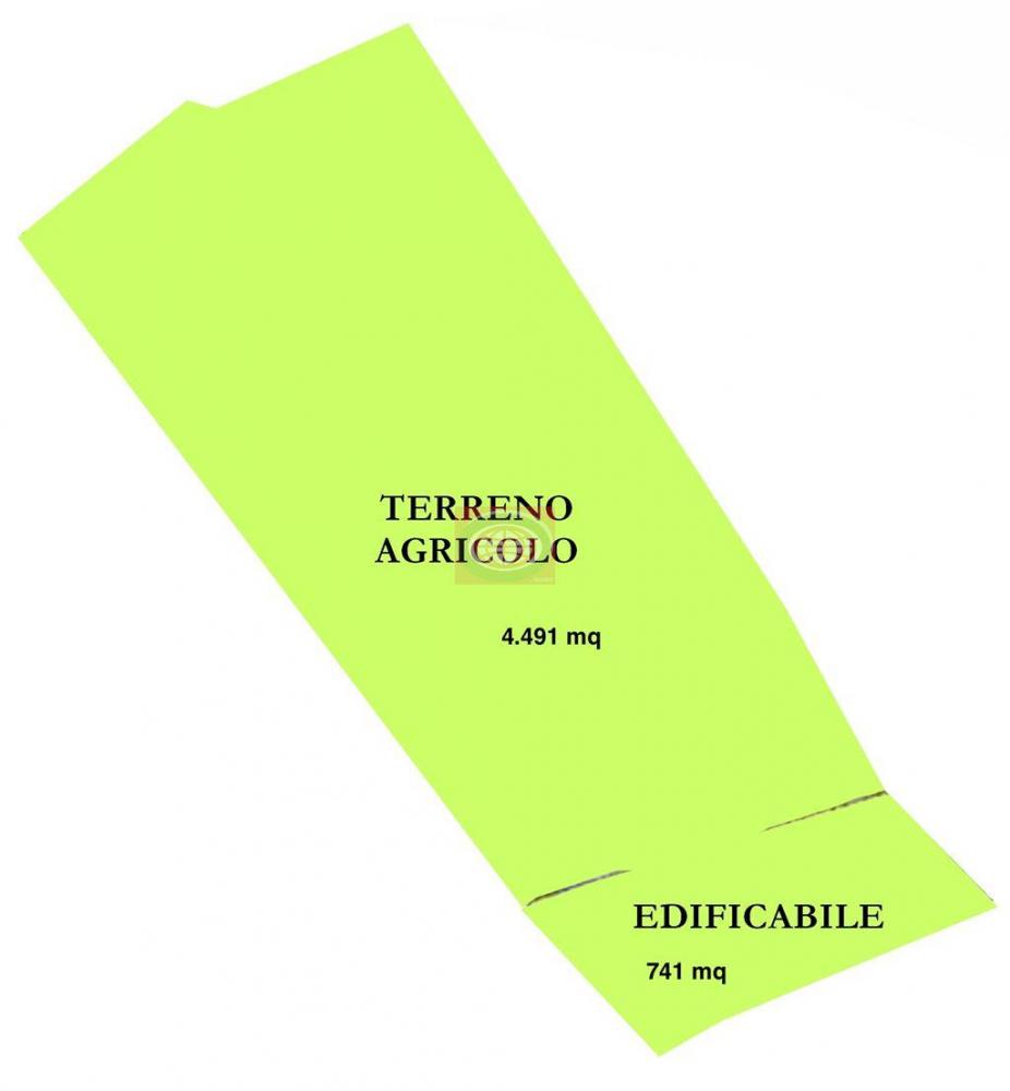 terreno edificabile in vendita a Bertinoro in zona Fratta Terme