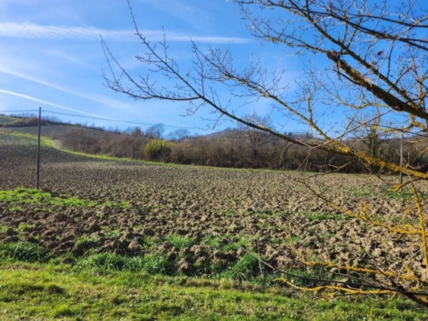 terreno agricolo in vendita a Bertinoro in zona Fratta Terme