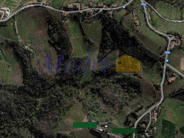 terreno agricolo in vendita a Bertinoro in zona Collinello