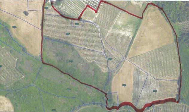 terreno agricolo in vendita a Bertinoro in zona Bracciano