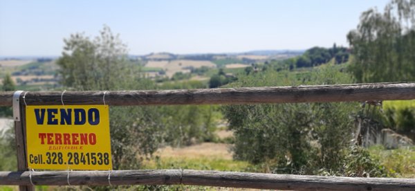 terreno edificabile in vendita a Bertinoro in zona Panighina