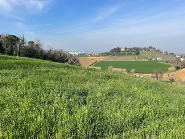casa indipendente in vendita a Bertinoro in zona Panighina