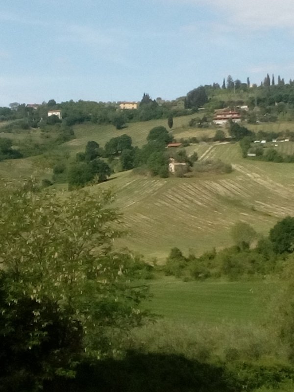 casa indipendente in vendita a Bertinoro