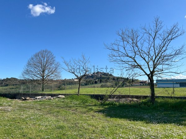 casa indipendente in vendita a Bertinoro