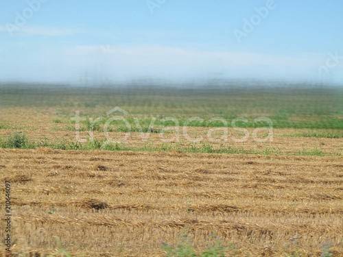 terreno agricolo in vendita a Bertinoro