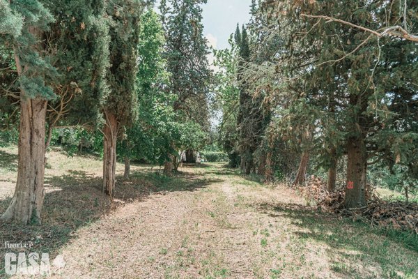 casa indipendente in vendita a Bertinoro in zona Polenta