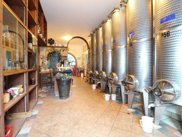negozio in vendita a Bertinoro