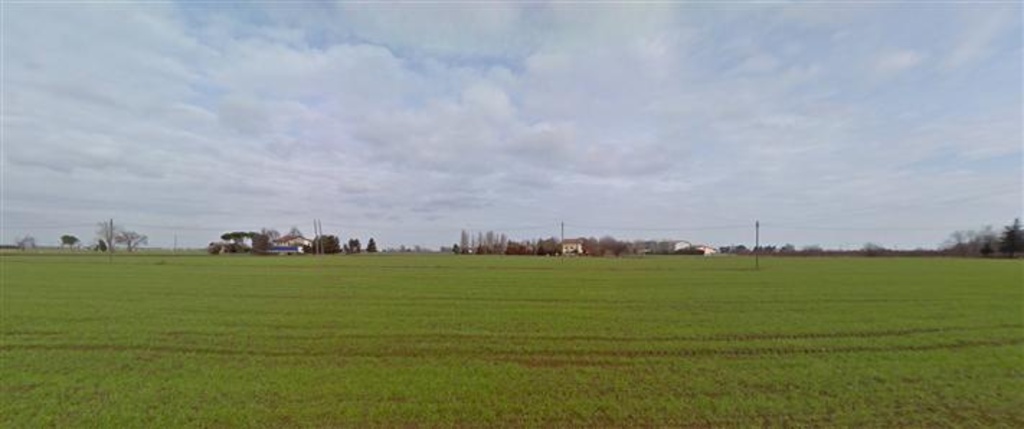 terreno agricolo in vendita a Bertinoro in zona Panighina