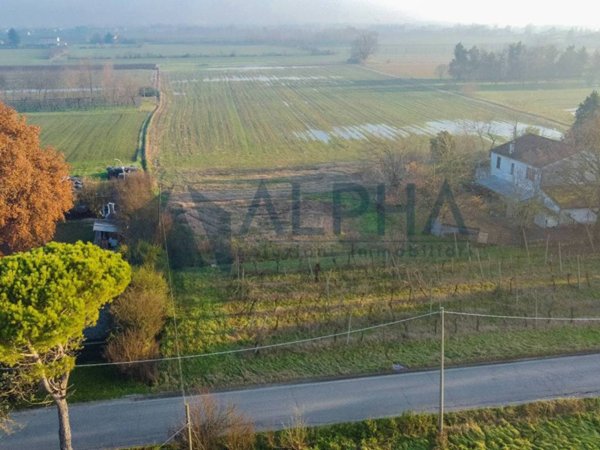 terreno agricolo in vendita a Bertinoro