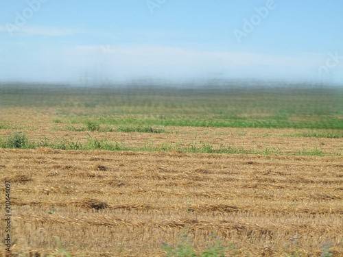 terreno agricolo in vendita a Bertinoro