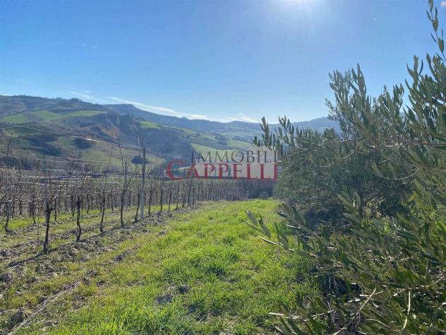 negozio in vendita a Bertinoro in zona Fratta Terme