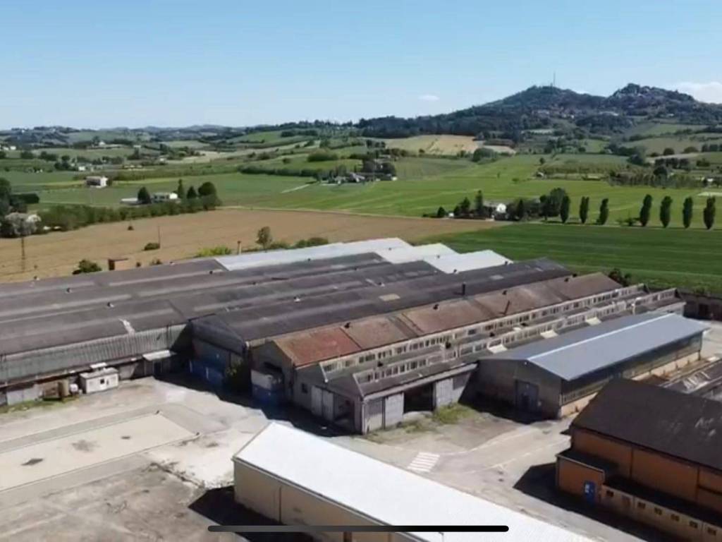 locale commerciale in vendita a Bertinoro