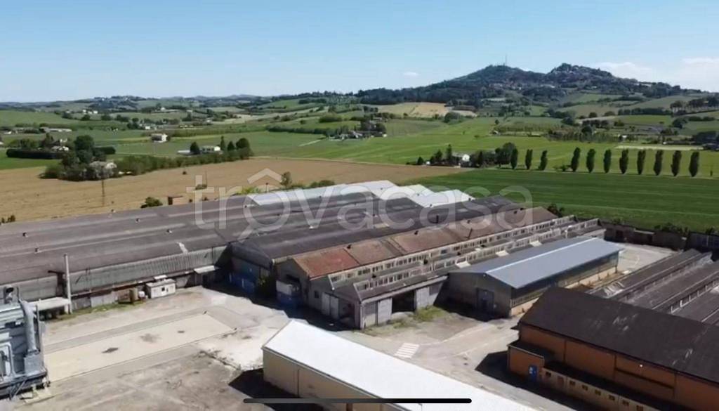 locale commerciale in vendita a Bertinoro