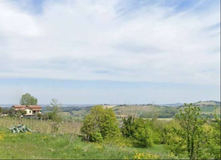 terreno agricolo in vendita a Bertinoro