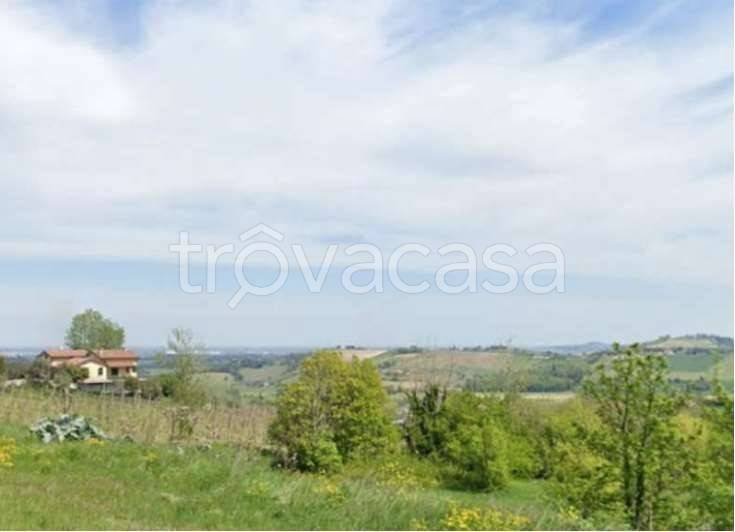 terreno agricolo in vendita a Bertinoro