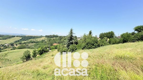terreno agricolo in vendita a Bertinoro in zona Collinello
